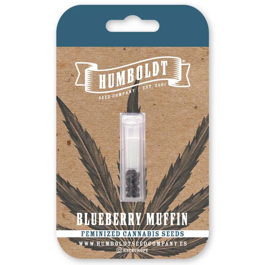 Blueberry Muffin von Humboldt Seed Company - Cannabis Samen kaufen - Packung