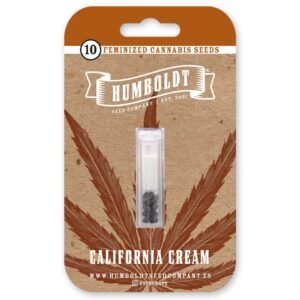 California Cream – Bild 2