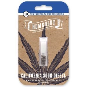 California Sour Diesel – Bild 2
