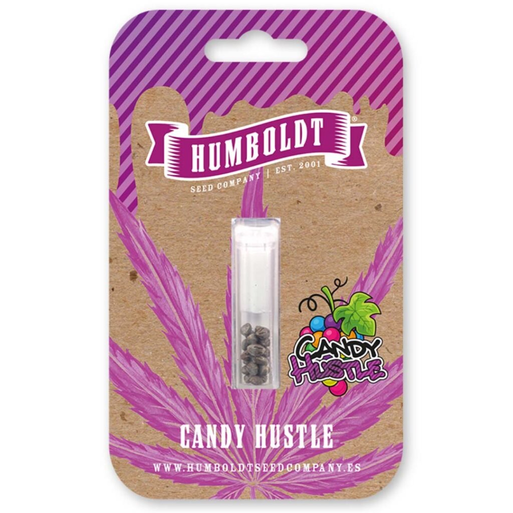 Candy Hustle von Humboldt Seed Company - Cannabis Samen kaufen - Packung