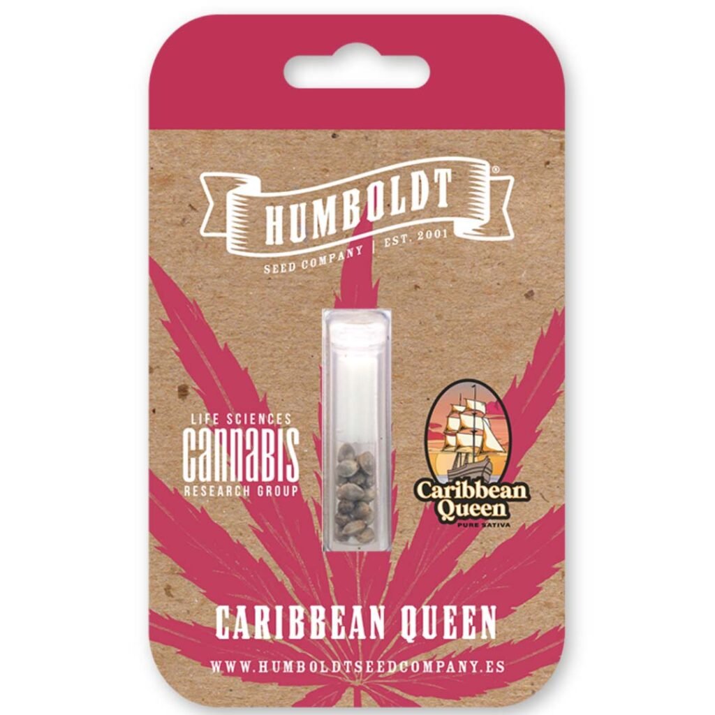 Caribbean Queen von Humboldt Seed Company - Cannabis Samen kaufen - Packung