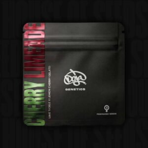 Cherry Limeade - Doja Seeds kaufen - Premium Seedbank aus Kalifornien USA Produktbild
