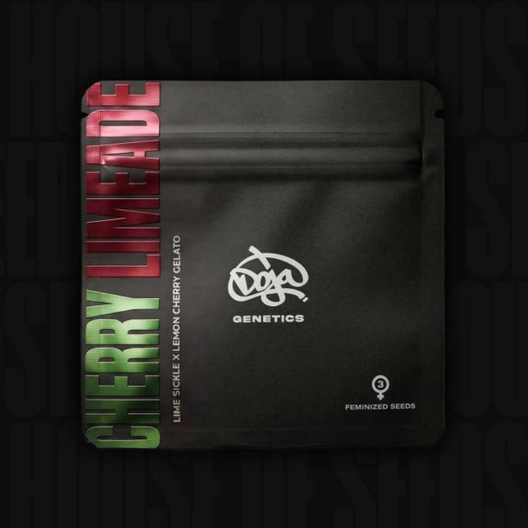 Cherry Limeade - Doja Seeds kaufen - Premium Seedbank aus Kalifornien USA Produktbild