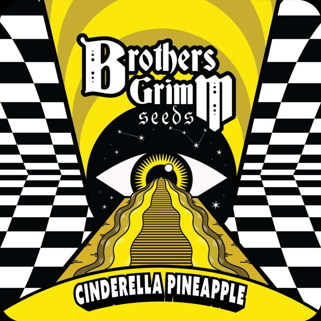 Cinderella Pineapple - Brothers Grimm Seeds kaufen - Produktbild