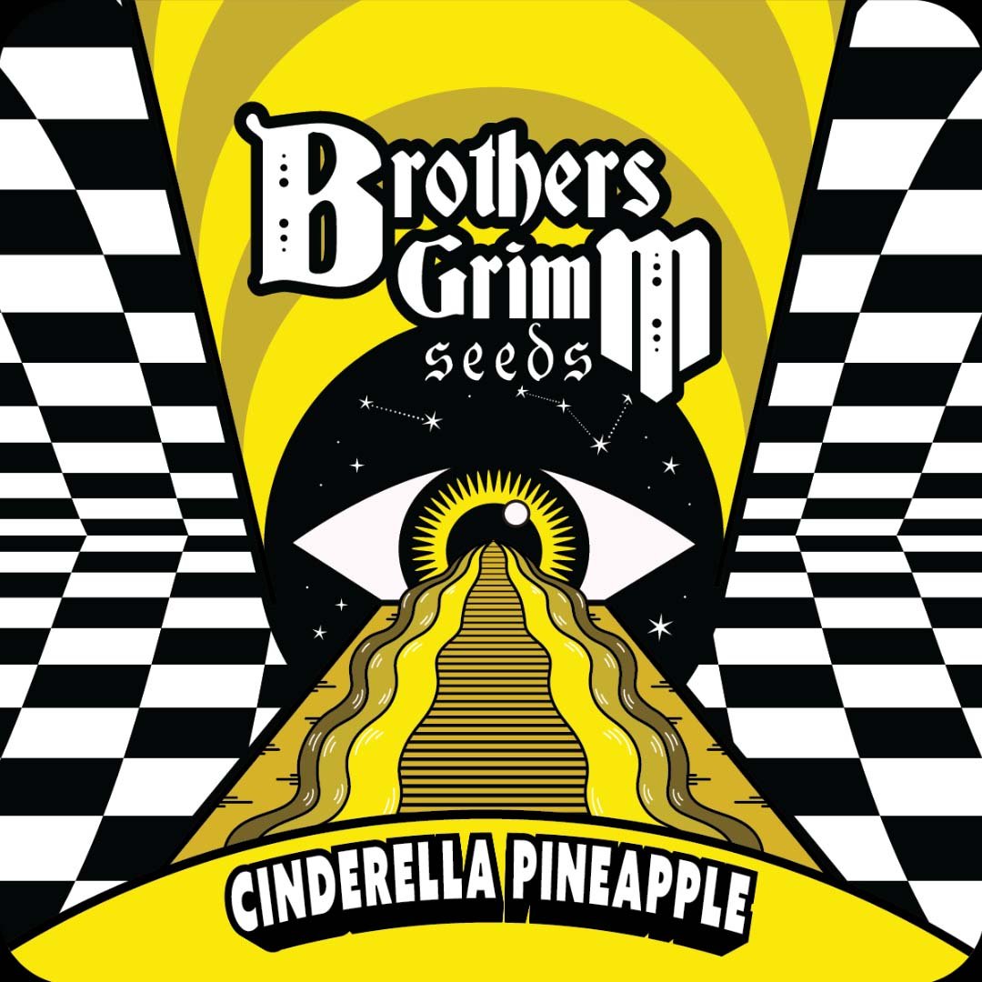 Cinderella Pineapple - Brothers Grimm Seeds kaufen - Produktbild