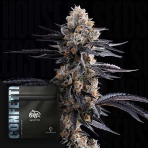 Confetti - Doja Seeds kaufen - Premium Seedbank aus Kalifornien USA Produktbild