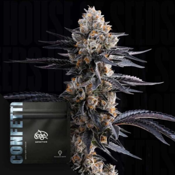 Confetti - Doja Seeds kaufen - Premium Seedbank aus Kalifornien USA Produktbild
