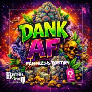 Dank AF - Brothers Grimm Seeds kaufen - Produktbild