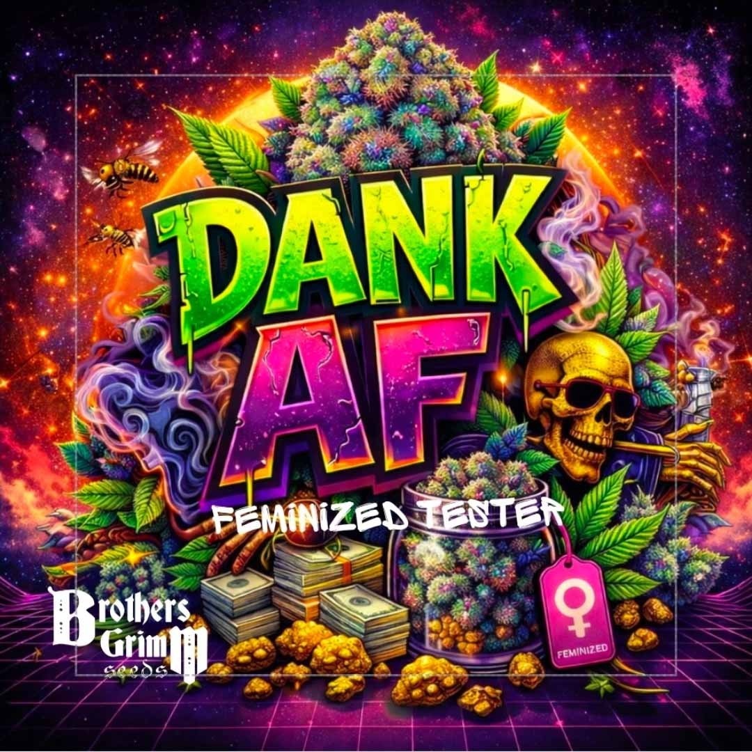 Dank AF - Brothers Grimm Seeds kaufen - Produktbild