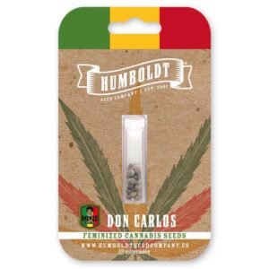 Don Carlos – Bild 2