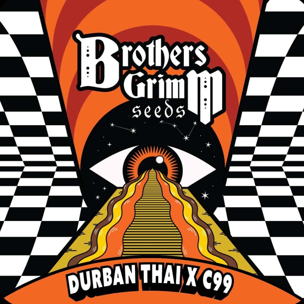 Durban Thai x C99 - Brothers Grimm Seeds kaufen - Produktbild