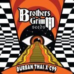 Durban Thai x C99 - Brothers Grimm Seeds kaufen - Produktbild