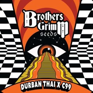 Durban Thai x C99 - Brothers Grimm Seeds kaufen - Produktbild