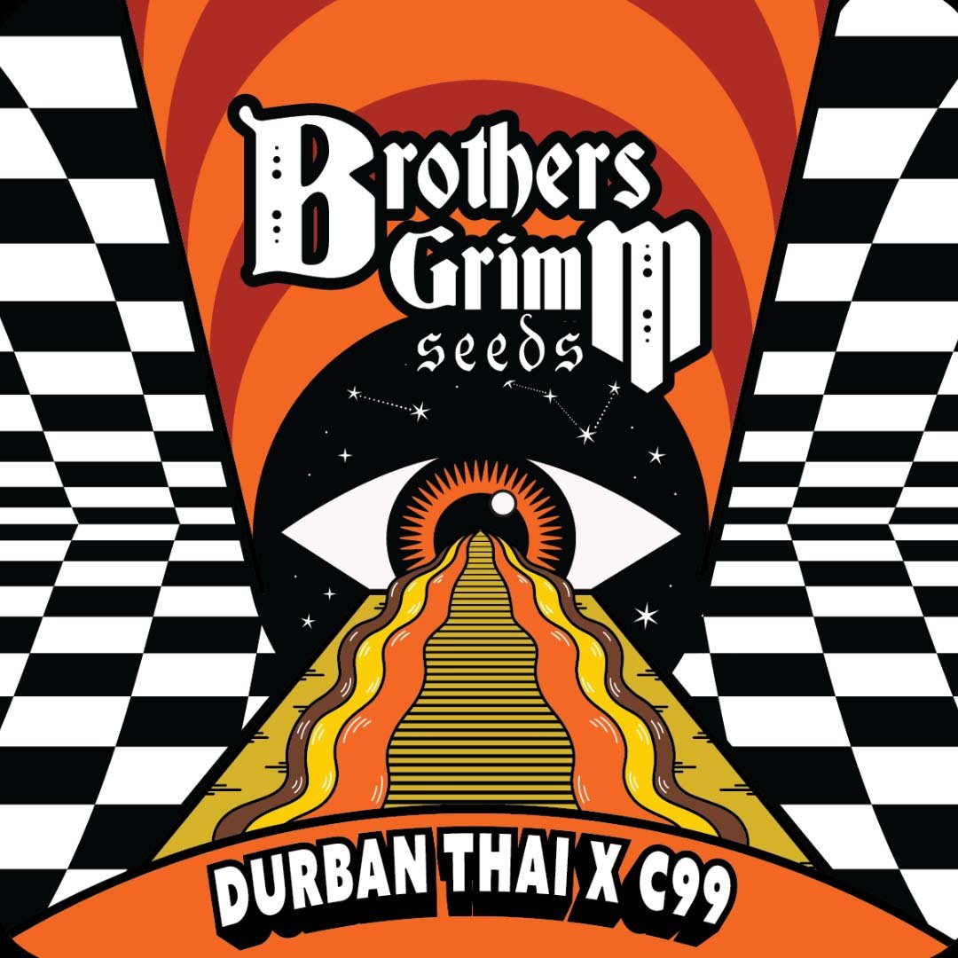 Durban Thai x C99 - Brothers Grimm Seeds kaufen - Produktbild