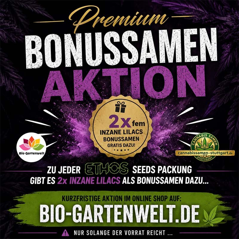Ethos Genetics Bonussamen Special - Je Packung 2x Inzane Lilacs gratis - Juli 2026