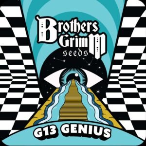 G13 Genius - Brothers Grimm Seeds kaufen - Produktbild