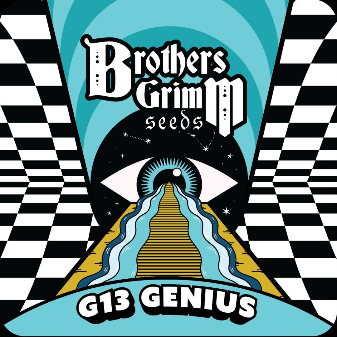 G13 Genius - Brothers Grimm Seeds kaufen - Produktbild