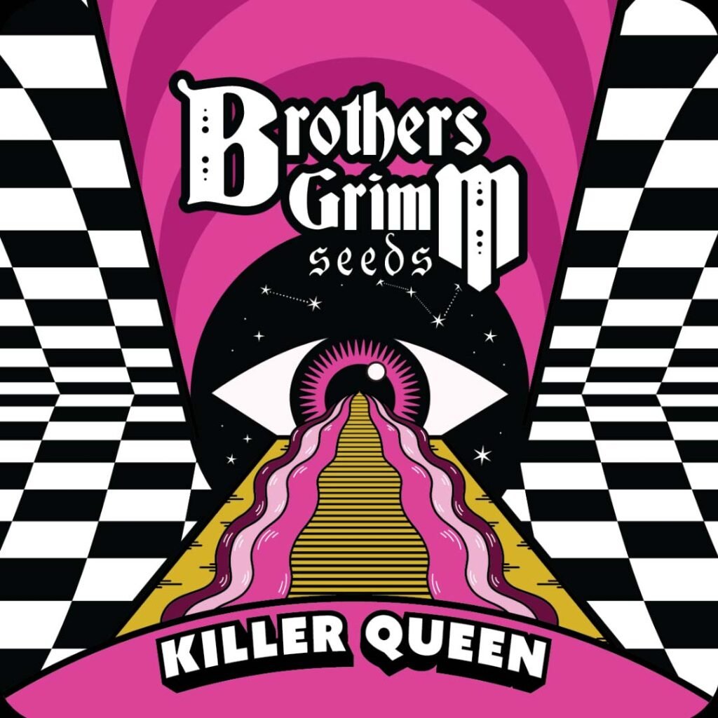 Killer Queen - Brothers Grimm Seeds kaufen - Produktbild