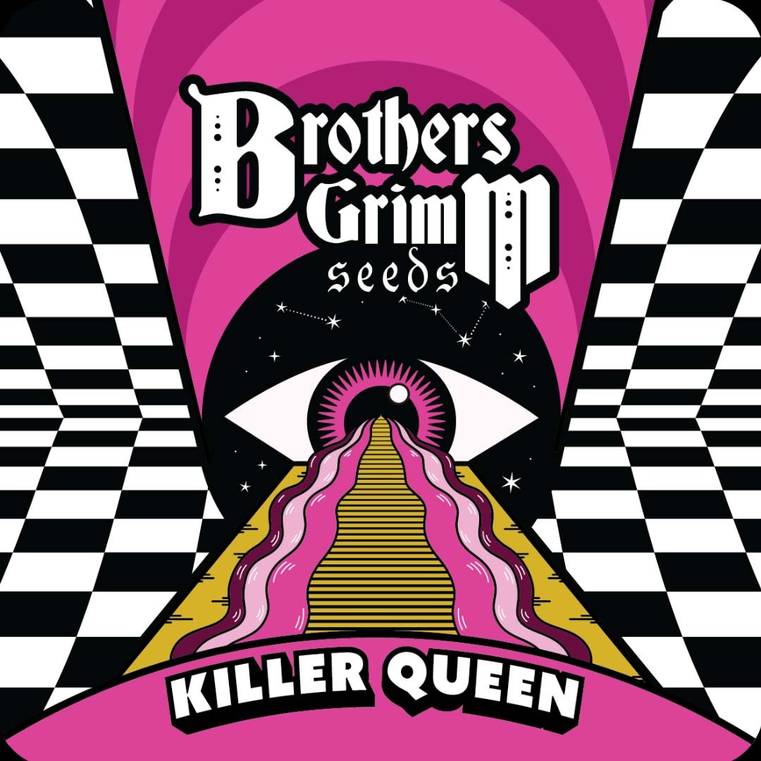 Killer Queen - Brothers Grimm Seeds kaufen - Produktbild