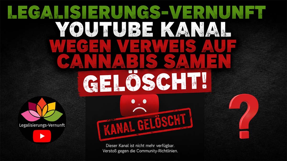 Legalisierungs-Vernunft YouTube Kanal gelöscht wegen Verweis auf Cannabis Samen