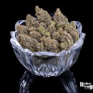 Princess Haze - Brothers Grimm Seeds kaufen - Produktbild 4