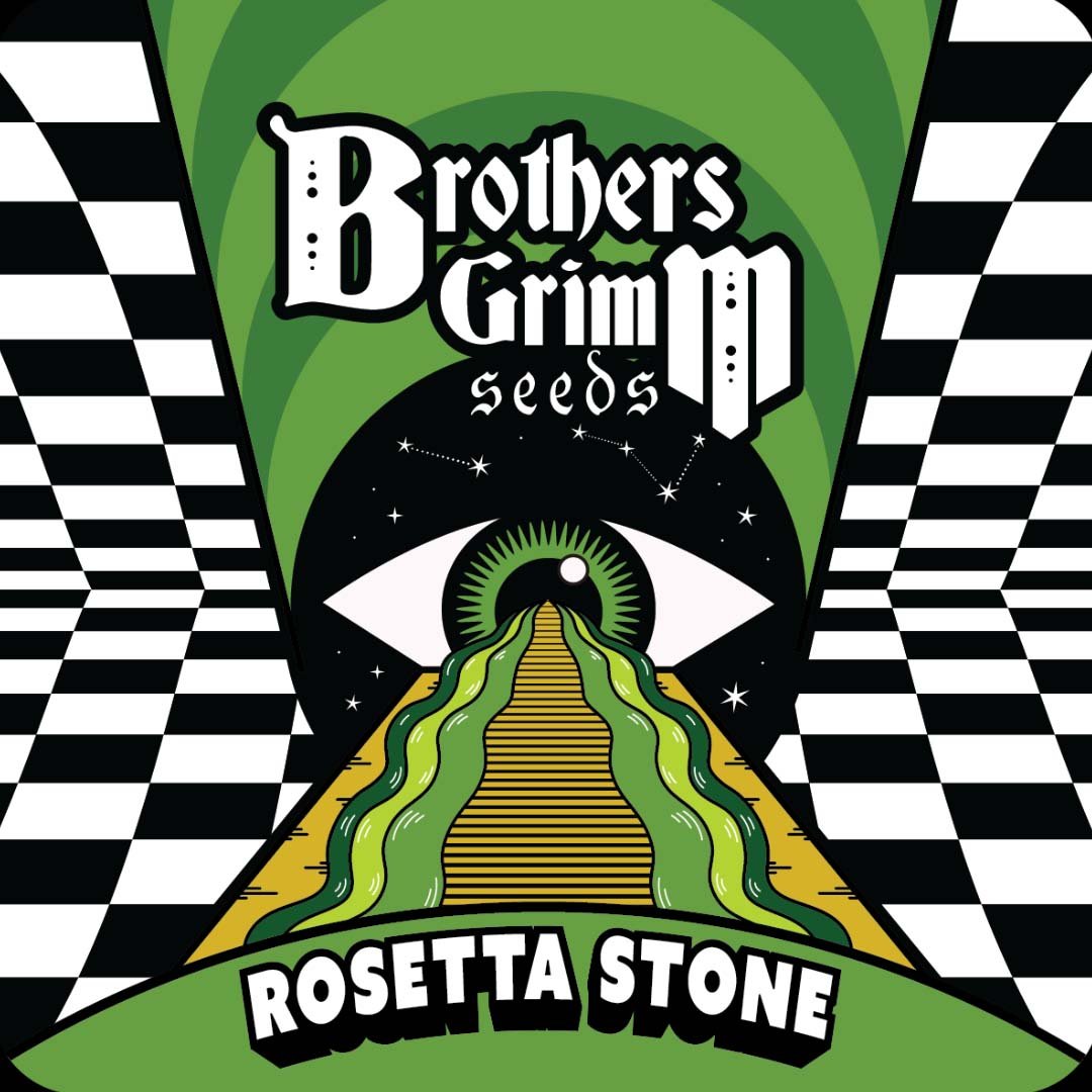 Rosetta Stone - Brothers Grimm Seeds kaufen - Produktbild