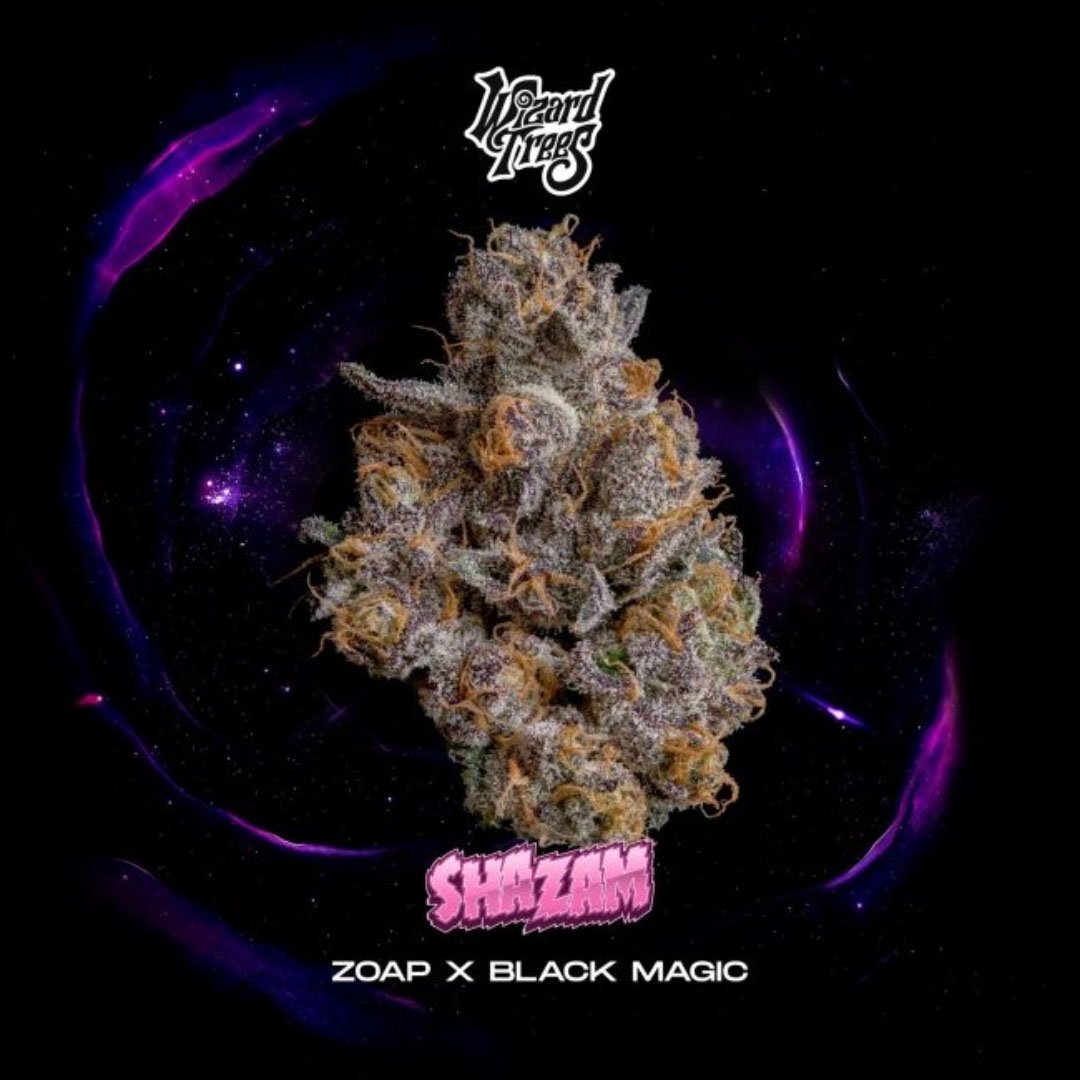 Shazam - Wizard Trees Cannabis Samen kaufen
