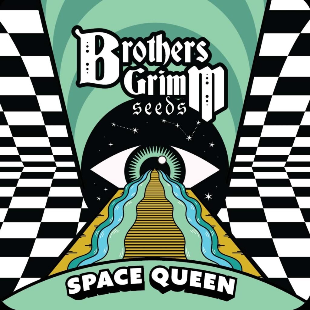 Space Queen - Brothers Grimm Seeds kaufen - Produktbild