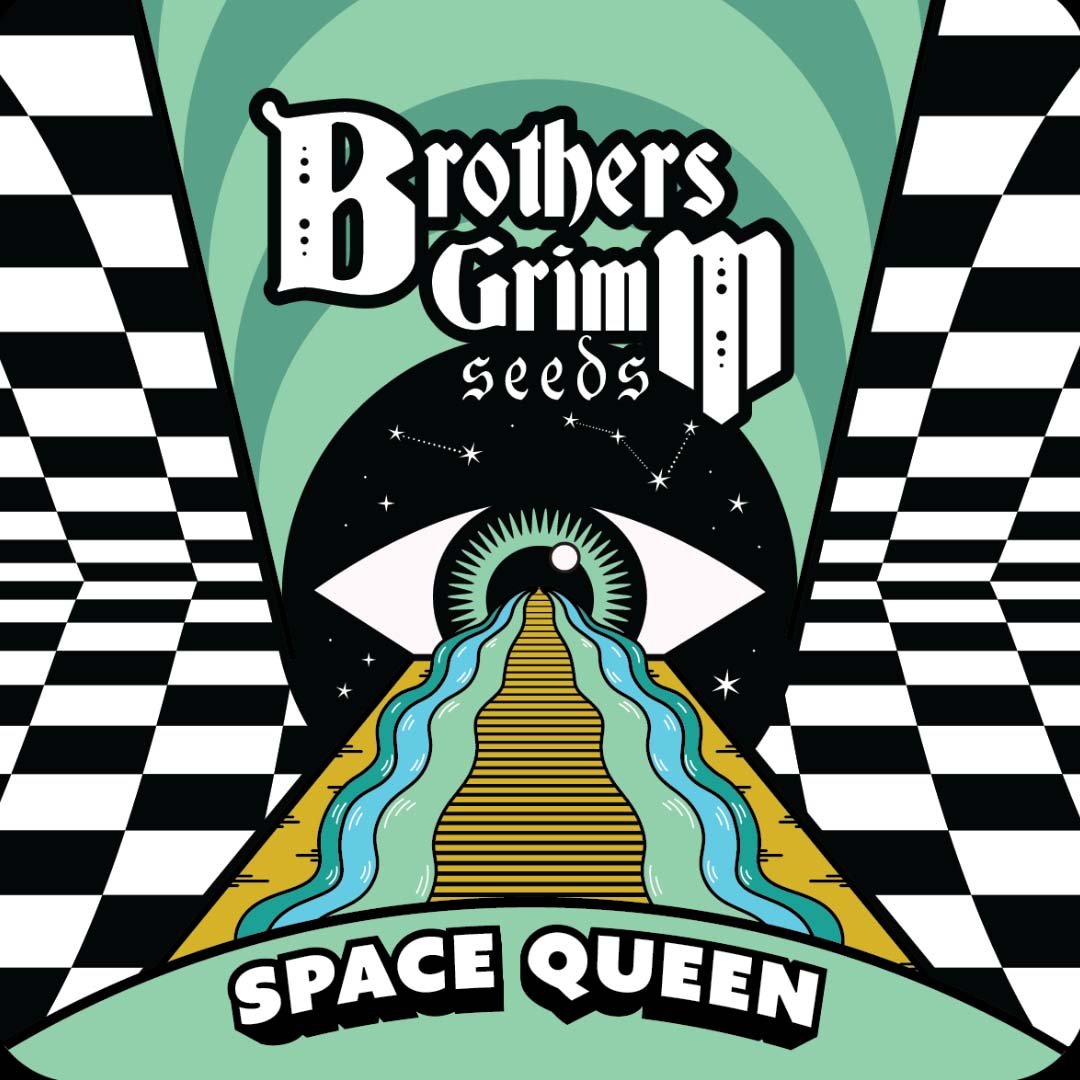 Space Queen - Brothers Grimm Seeds kaufen - Produktbild