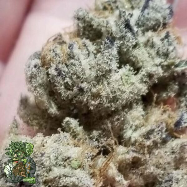 Tacky Glue - In House Genetics Cannabis Samen kaufen Tacky Glue - In House Genetics Cannabis Samen kaufen