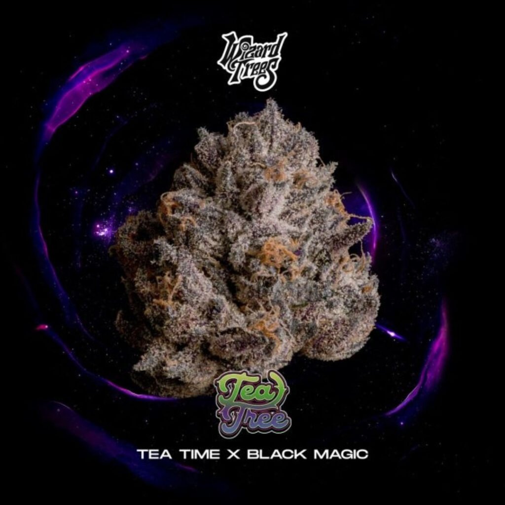 Tea Tree - Wizard Trees Cannabis Samen kaufen