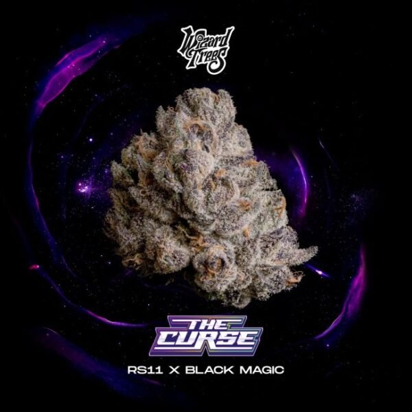 The Curse - Wizard Trees Cannabis Samen kaufen The Curse - Wizard Trees Cannabis Samen kaufen