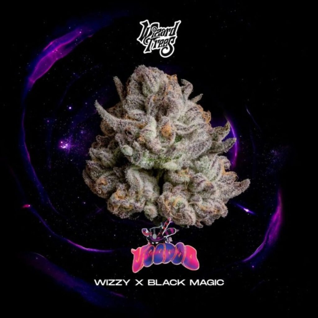 Voodoo - Wizard Trees Cannabis Samen kaufen