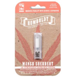 Mango Sherbert von Humboldt Seed Company - Cannabis Samen kaufen - Packung