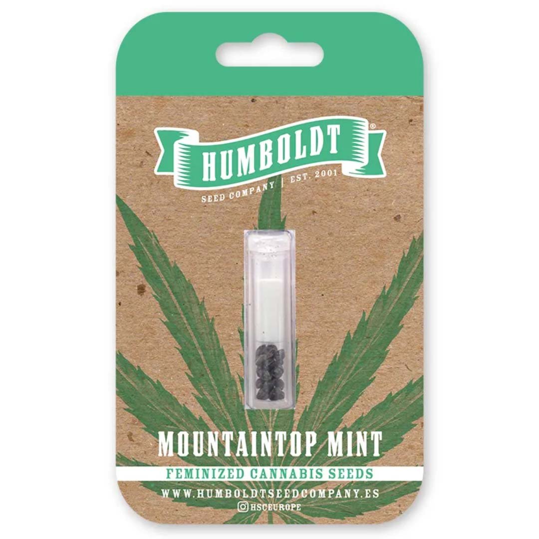 Mountaintop Mint von Humboldt Seed Company - Cannabis Samen kaufen - Packung