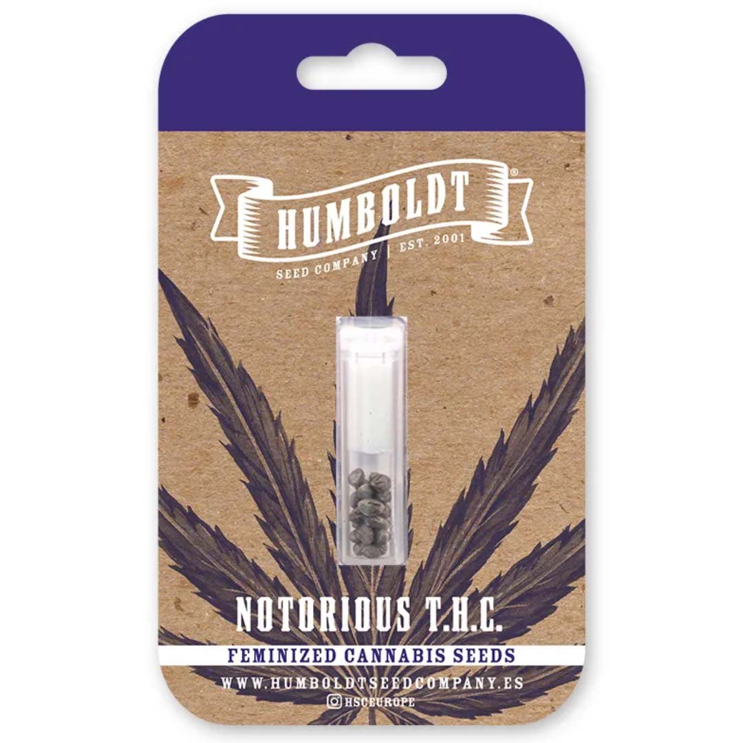 Notorious THC von Humboldt Seed Company - Cannabis Samen kaufen - Packung