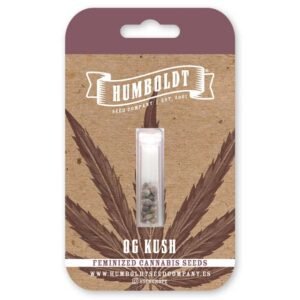 OG Kush – Bild 2