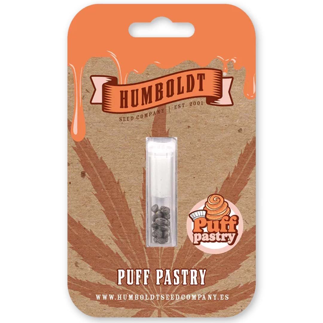 Puff Pastry von Humboldt Seed Company - Cannabis Samen kaufen - Packung