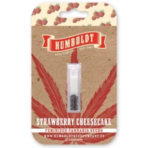 Strawberry Cheesecake – Bild 2