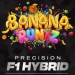 Banana Runtz - Barneys Farm Precision F1 Hybrids Cannabissamen kaufen