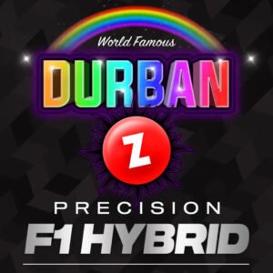 Durban Z - Barneys Farm Precision F1 Hybrids Cannabis Samen kaufen