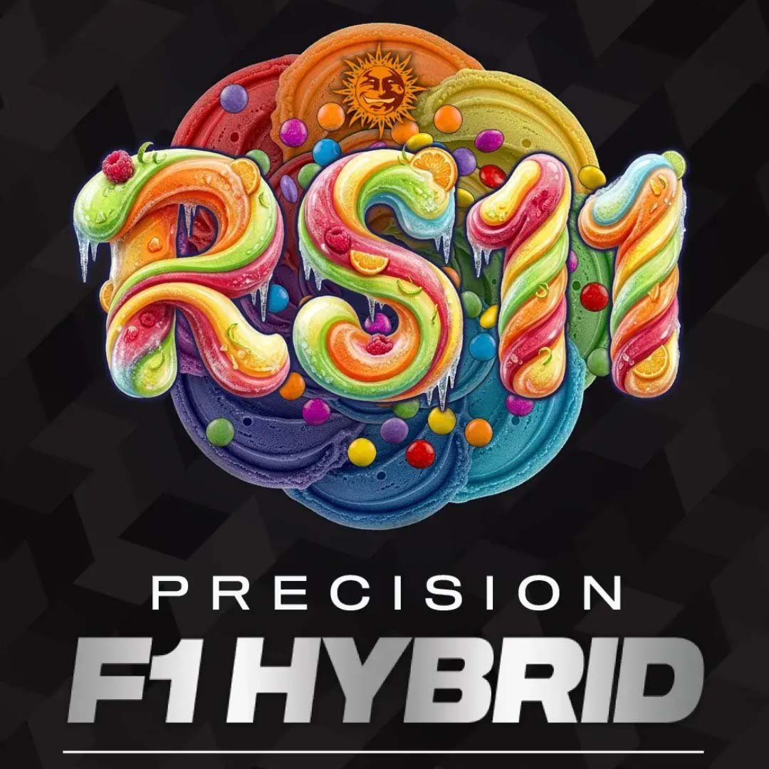 RS11 - Barneys Farm Precision F1 Hybrids Cannabis Samen kaufen