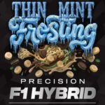 Thin Mint Frosting - Barneys Farm Precision F1 Hybrids Cannabis Samen kaufen