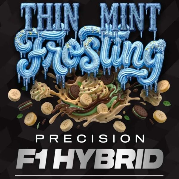 Thin Mint Frosting - Barneys Farm Precision F1 Hybrids Cannabis Samen kaufen Thin Mint Frosting - Barneys Farm Precision F1 Hybrids Cannabis Samen kaufen