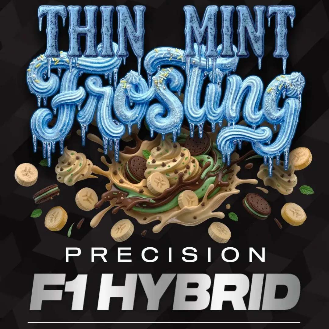 Thin Mint Frosting - Barneys Farm Precision F1 Hybrids Cannabis Samen kaufen