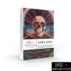 Game Over – Bild 2