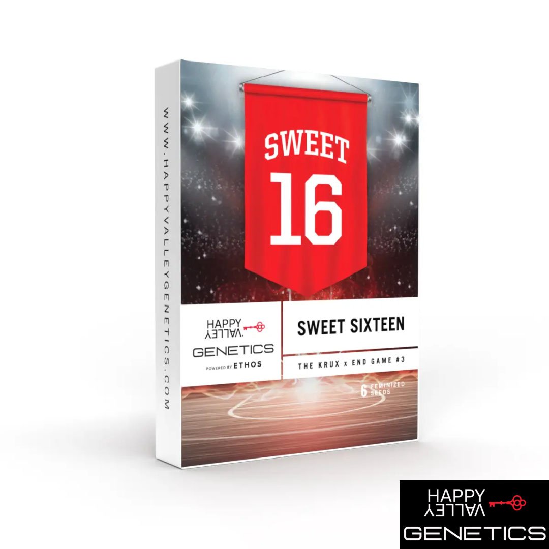Sweet 16 von Happy Valley Genetics kaufen im Cannabis Samen Online Shop - Packung